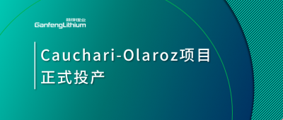 赣锋锂业阿根廷cauchari-olaroz盐湖项目正式投产